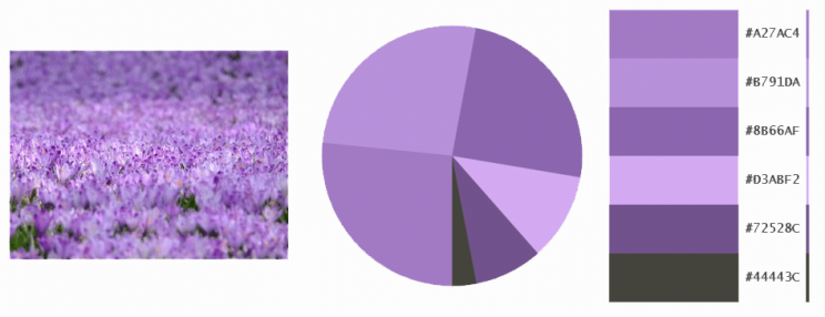 Lila skála - Purple scale