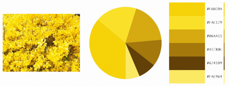 Sárga skála - Yellow scale